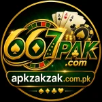 667PAK Game